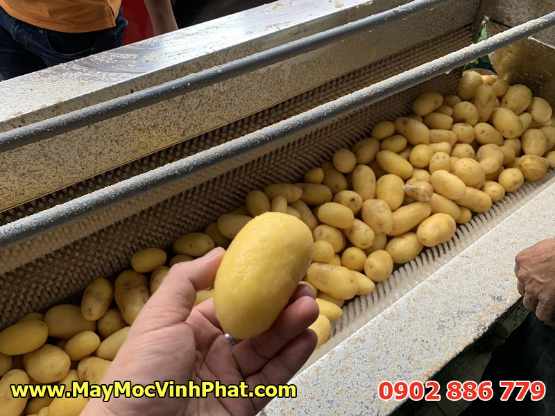 Hình ảnh kết quả làm việc của máy gọt vỏ khoai tây, khoai lang do Vĩnh Phát chế tạo