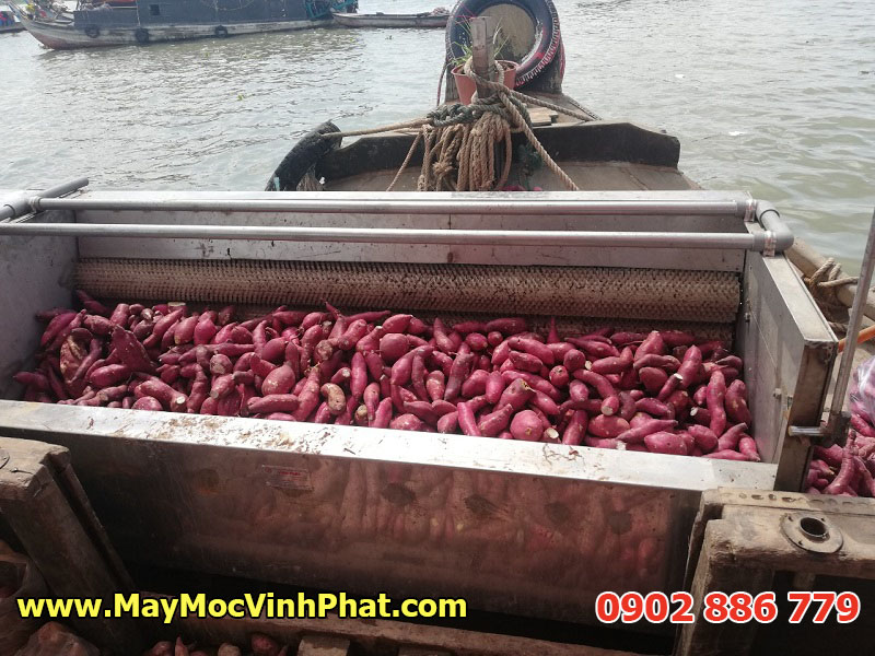 Hình ảnh thực tế máy rửa khoai lang, cà rốt, khoai tây Vĩnh Phát ở trên thuyền sông nước miền Tây